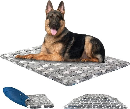 Matrice da Giaciglio per Cani Reversibile - Lavabile in Lavatrice - Schiuma ad Alta Densità - Grigio/Azzurro - Grande Extra