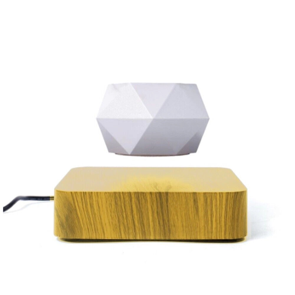 Vaso per piante bonsai a levitazione magnetica che vola piantina sospesa in aria