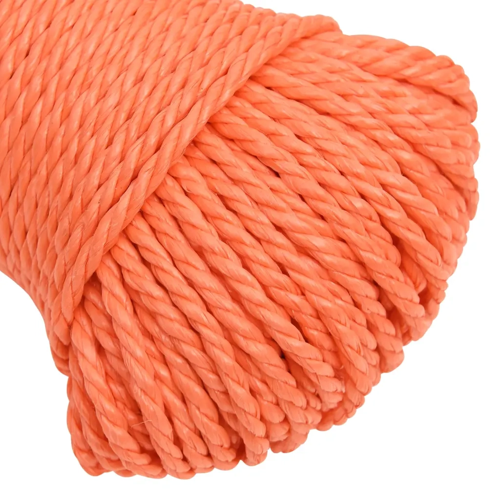 Corda da Lavoro Arancione 6 mm 25 m in Polipropilene 152923
