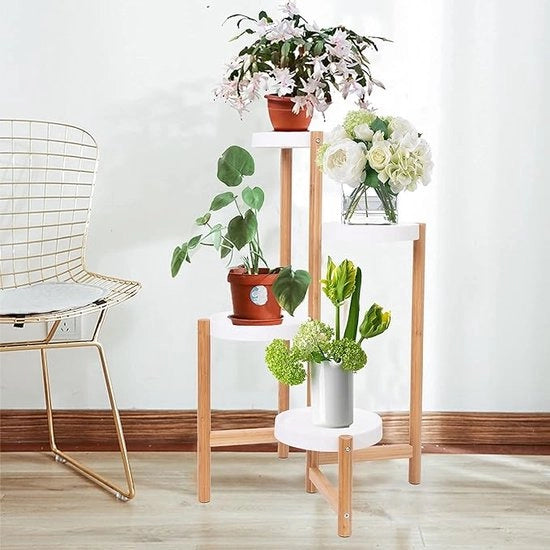 Supporto per piante/blooms - supporto multifunzionale per piante 7 x 50,8 x 60,2 centimetri