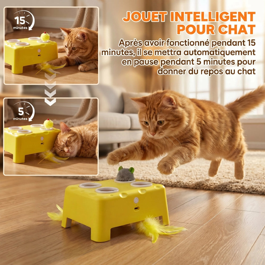 Giocattolo Interattivo per Gatti Ricaricabile ¨C zephmum ¨C Giallo 18.8x14x6 cm