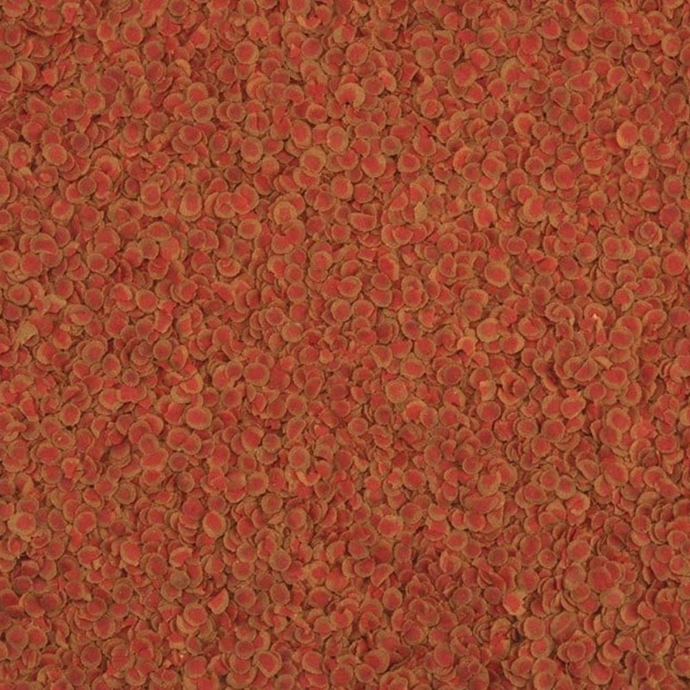 Tetra Pro Color Formato: 100 ml