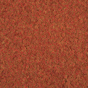 Tetra Pro Color Formato: 100 ml