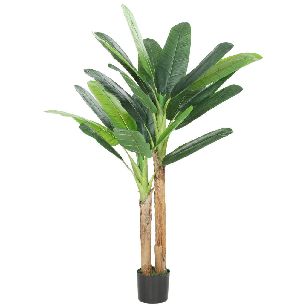 Albero di Banano Artificiale ¨C Zephmum ¨C Verde 150 cm con Vaso e Tronchi
