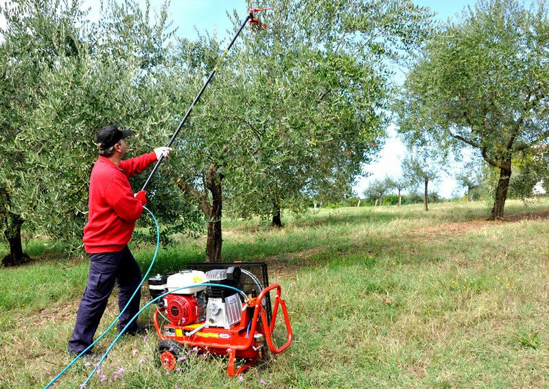 Kit raccolta olive per 2 operatori Lisam Hobby con motocompressore Honda 2 abbacchiatori