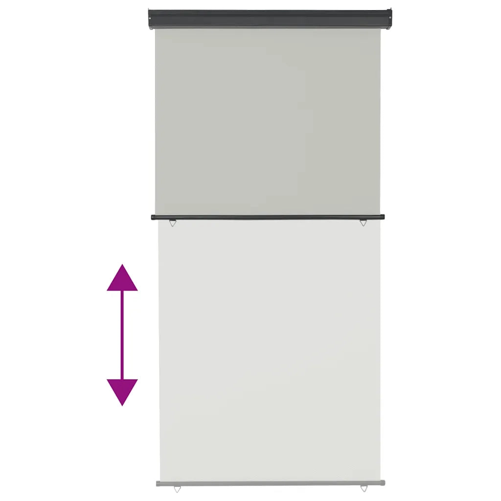 Tendalino Laterale per Balcone 125x250 cm Grigio