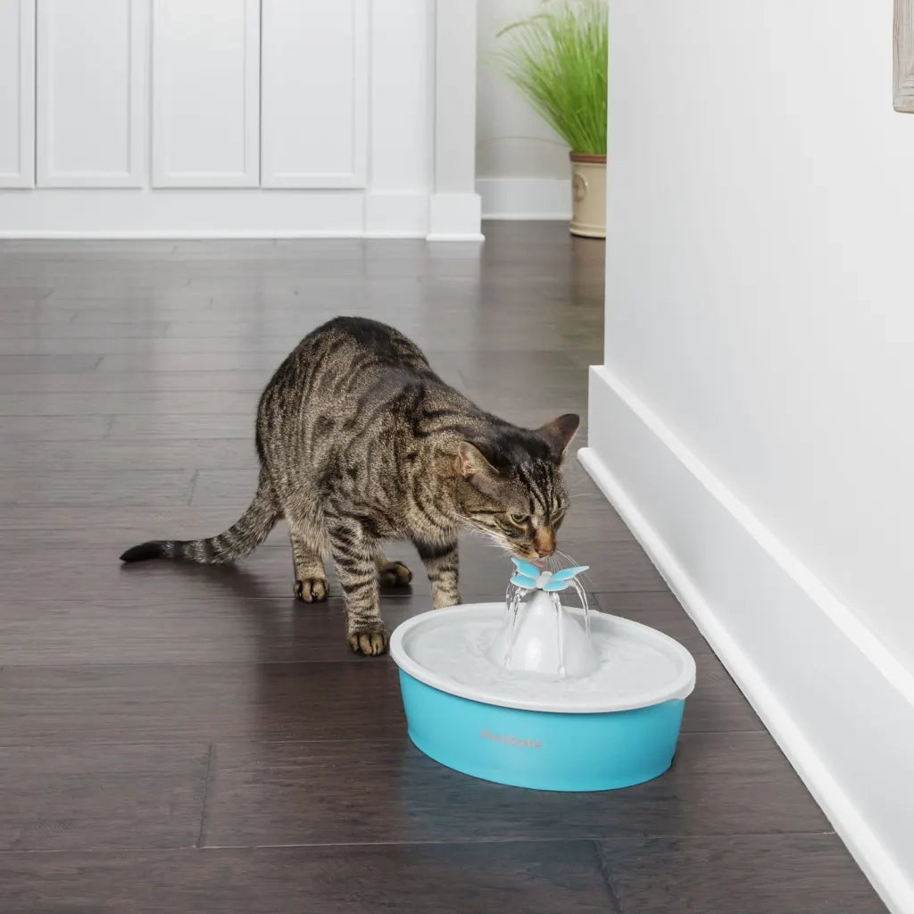 PetSafe Fontana per Animali Domestici Drinkwell con Farfalla 1,5 L 444457