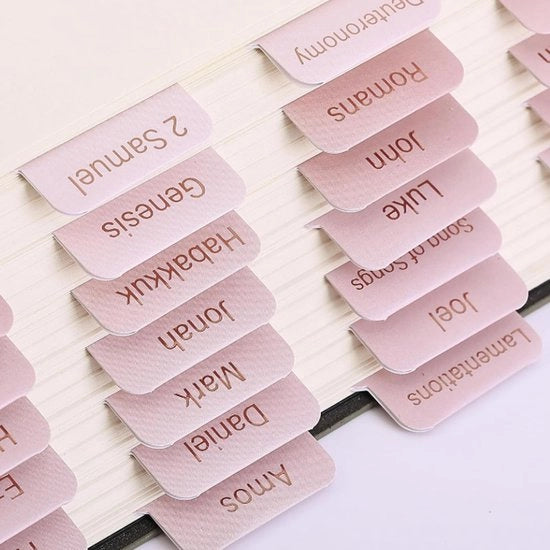 Indici per Bibbia 90 pezzi - Rosa - Gelatinato - Per Donne - Indici per Bibbia - Sostenibile - Navigazione Facile