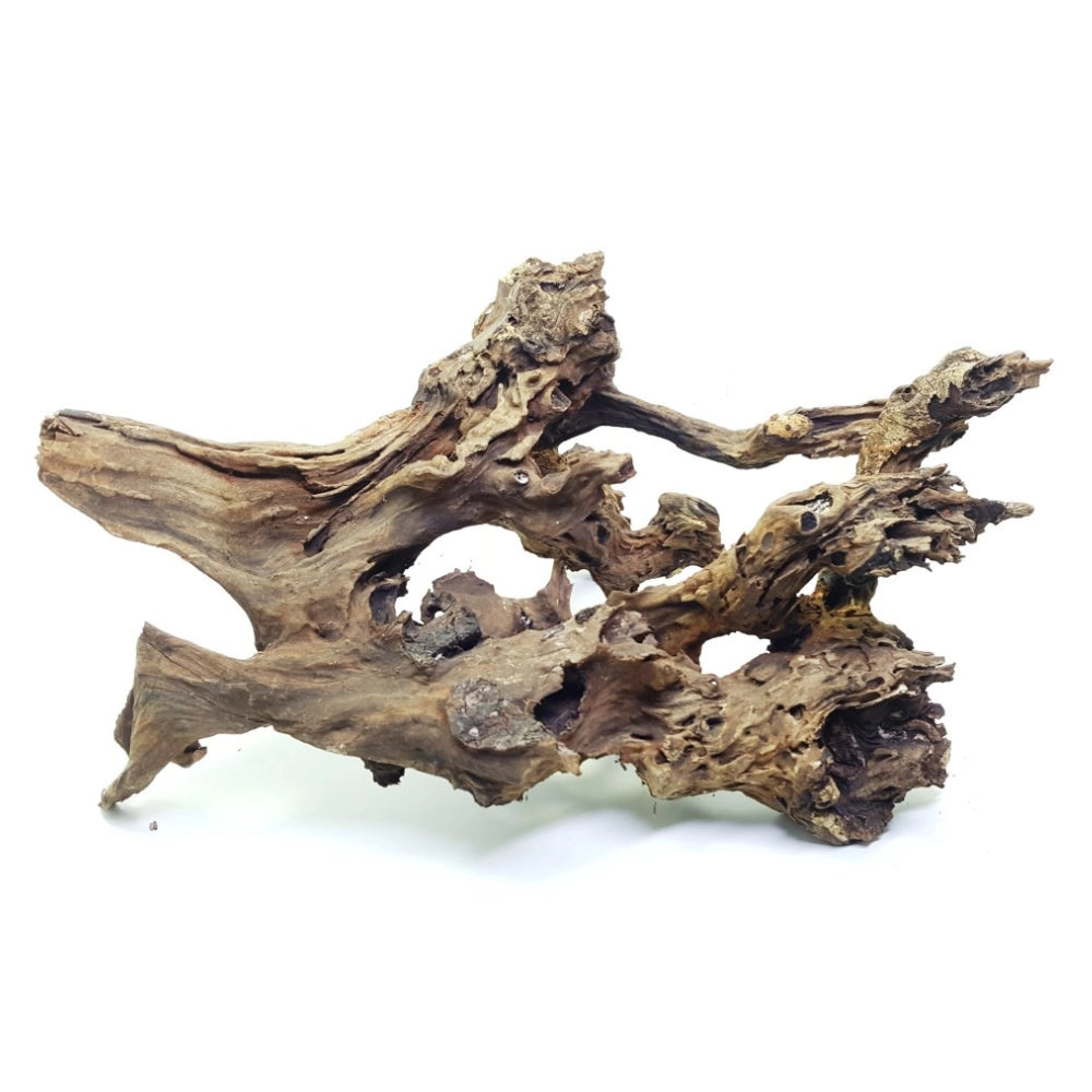 DecorLine Driftwood Foto Indicativa - Legno Manila naturale (Jati) per acquari d'acqua dolce Modello: S (15-25cm)
