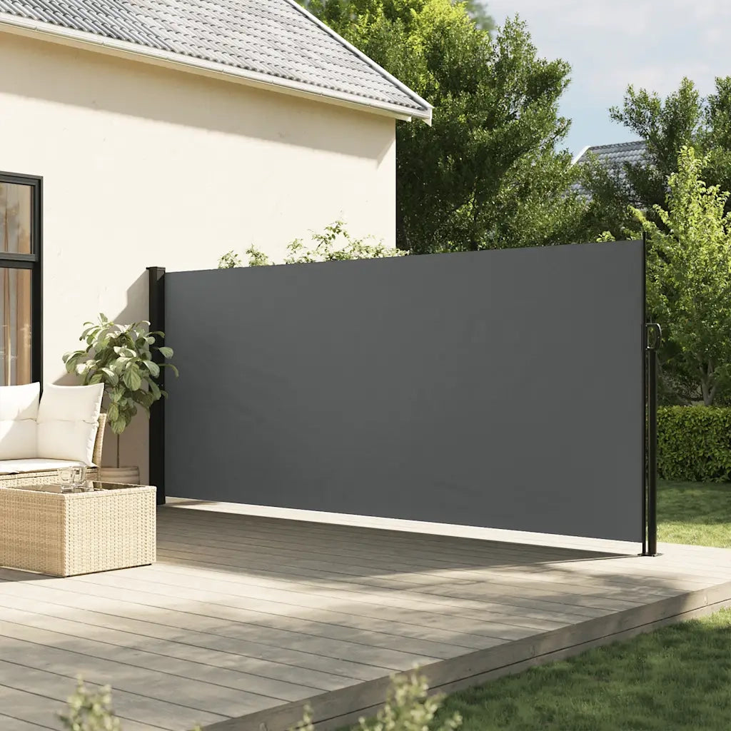 Tenda da sole laterale retrattile antracite 160x300 cm 4004323