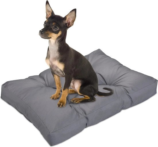 Letto per cani morbidi per piccoli cani - Impermeabile, 75 x 50 cm - Lavabile e comodo