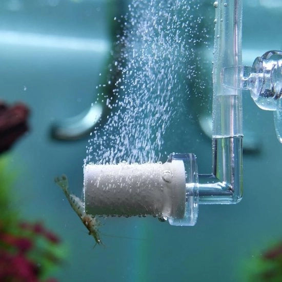 Diffusore a CO2 in acciaio inossidabile - diffusore a CO2 per acquario - diffusore a CO2 per piante acquatiche - facile da installare - promuove la crescita delle piante - sistema di diffusione a CO2 per acquario