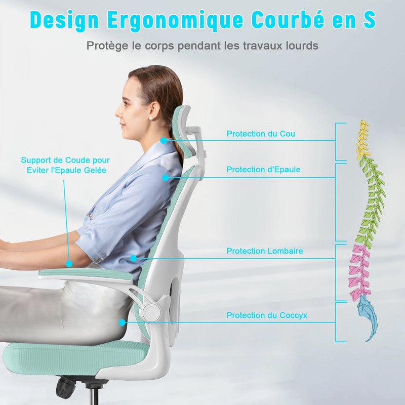 Sedia da ufficio - HAMLODY Poltrona ergonomica con braccioli 2D, altezza poggiatesta supporto lombare schienale regolabile verde
