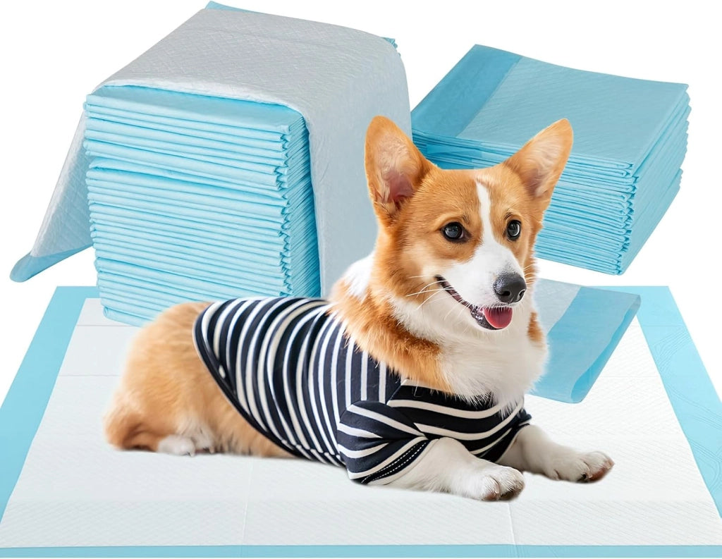 Tappetini Assorbenti per Cani, Tappetini da Interno ed Esterno per Animali Domestici a 6 Strati a Prova di Perdite, Asciugatura Rapida, Monouso per Urine, per Cagnolini (76 x 76 cm)
