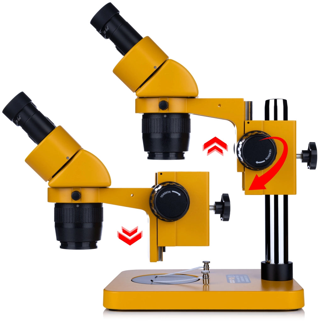 Mikroscopio Stereoscopico Binoculare Ganimedes S – Zoom 20-40x | Oculare WF10X/20 | Testa 45° Rotazione 360°