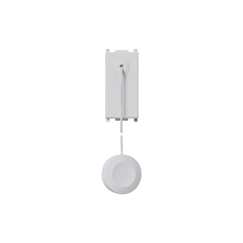 14052.Sl Pulsante 1P No 10A Tirante Silver Plana