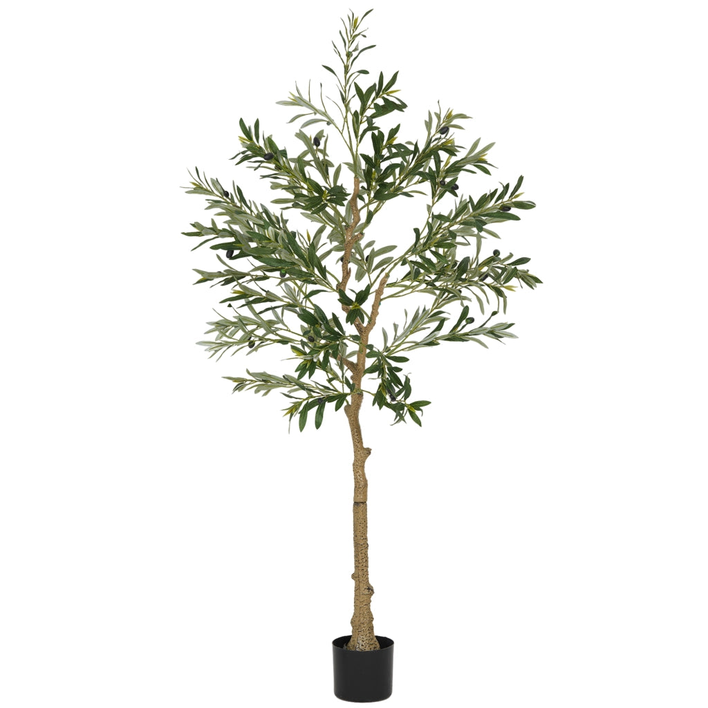 Albero di Olivo Artificiale ¨C zephmum ¨C Verde 150 cm