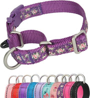 Martingale Halsband per Cani - Bloqueggia Tiraggi Sicuro Chiusura Rapida - Fucsia, Medio