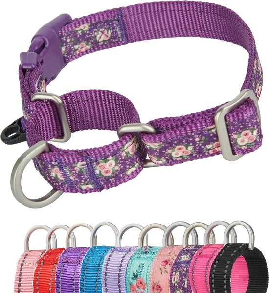 Martingale Halsband per Cani - Bloqueggia Tiraggi Sicuro Chiusura Rapida - Fucsia, Medio