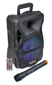 CASSA AUDIO AMPLIFICATO LX 8 300 WATT CON RADIOMICROFONO
