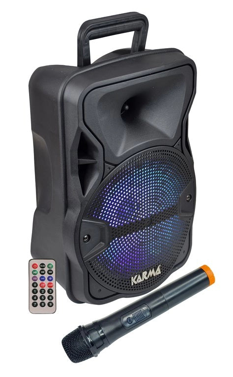 CASSA AUDIO AMPLIFICATO LX 8 300 WATT CON RADIOMICROFONO