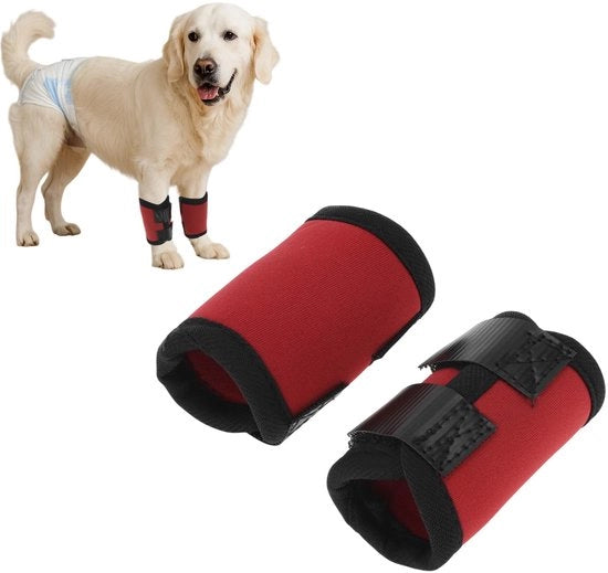 Benda per Articolazione Canina - Protezione Articolare - Supporto per Articolazione - Schokbestendig - Waterdicht - Materiale Neopreen - Dimensioni Piccole 11,9 cm x 6,5 cm - Supporto Articolare per Cani