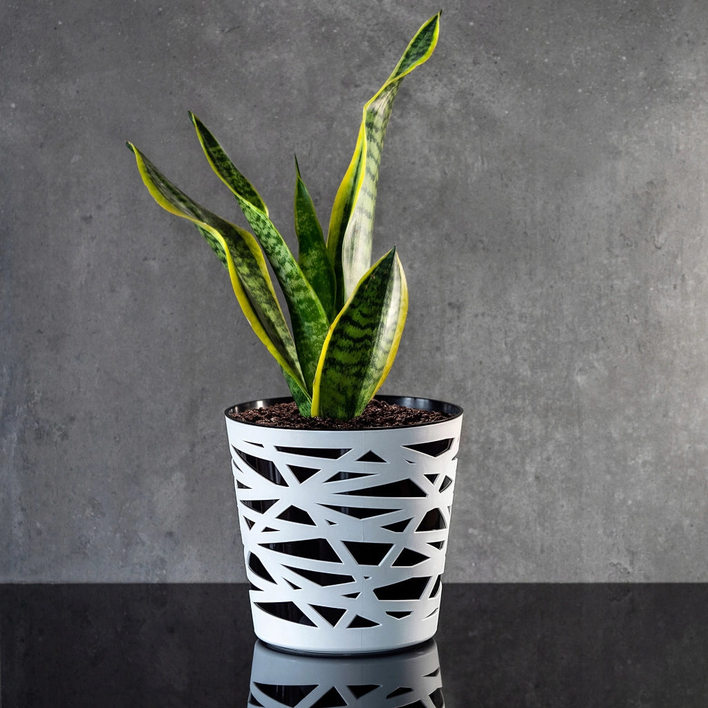 KADAX - Inserto in plastica per vaso di fiori e piante, 19 cm, nero