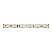 Fine SPI-3 Striscia LED RGB+3000K 5m 11W/m 24V IP20 Tecnologia SPI Controllo Pixel per Pixel Densità 60 LED/m Alta Qualità Illuminazione Professionale