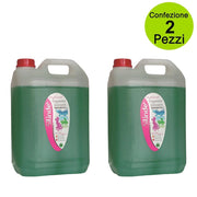 Multipack da 2 pz silinde detergente igienizzante insetticida e battericida pino