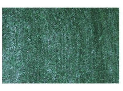SIEPI SIEPE ARELLA ORNAMENTALI EVERGREEN SCREEN ARREDO GIARDINO OMBREGGIANTE