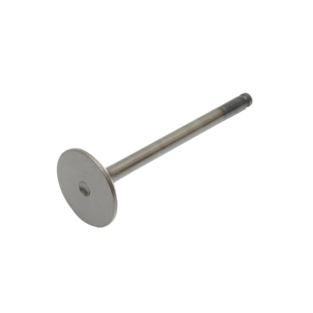 Valvola di aspirazione Massey Ferguson codice OEM 731151M1
