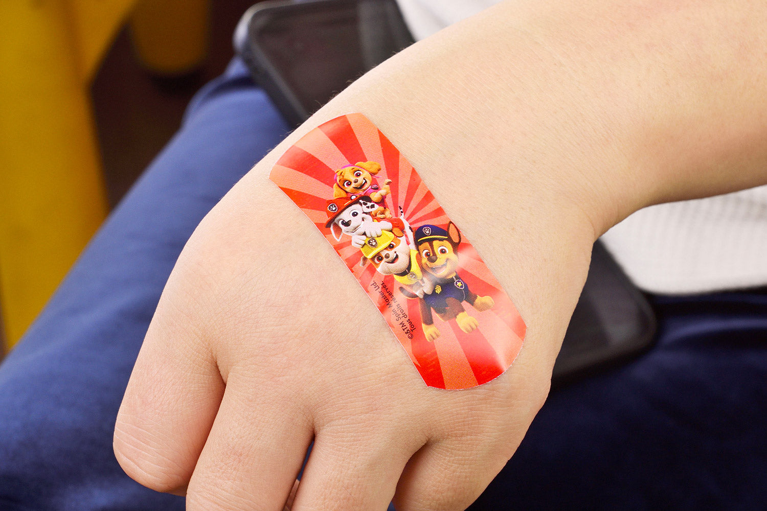 Set 12 Box per Bambini con 24 Cerotti Ciascuno 2 Misure in Metallo Paw Patrol