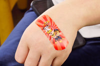 Set 12 Box per Bambini con 24 Cerotti Ciascuno 2 Misure in Metallo Paw Patrol