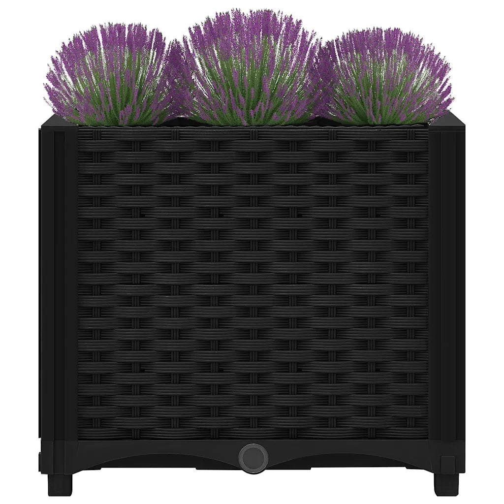 Fioriere | Cassetta per fiori | Letto rialzato 40x40x38 cm in polipropilene