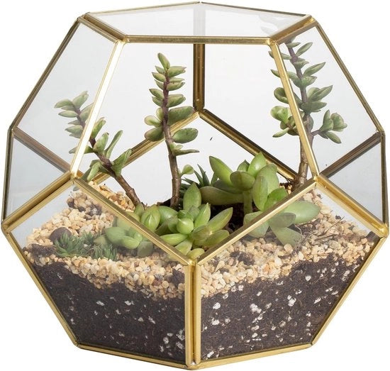 Vaso geometrico - Ottone dorato - Adatto per felci e piante grasse