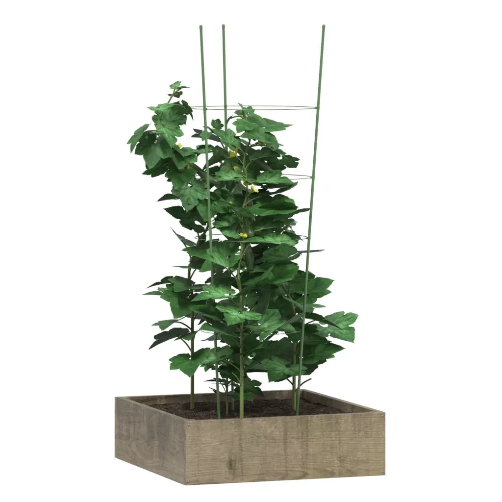 Supporti Piante da Giardino con 4 Anelli 5 pz Verde 90cm Acciaio CFW7116453