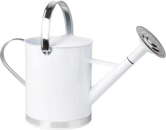 Giocatore di acqua da 5 litri con getto ad asse - RF63