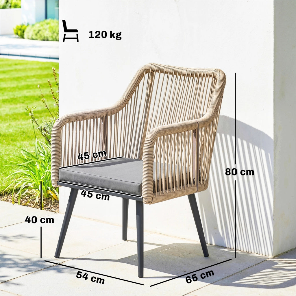 Set di 2 Sedie da Giardino con Braccioli e Cuscini ¨C Zephmum ¨C Telaio in Metallo Grigio Chiaro 120 kg