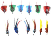 Decorazioni con Veer 12 Stuks - Veer Naturale - Accessori DIY - Veer per Cappello - Varie Misure 10-13cm - Veer per Cappello