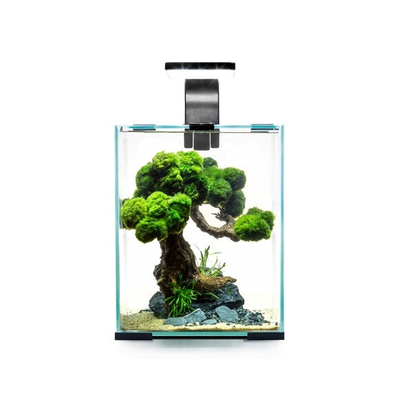 Aquael Shrimp Set Smart Day&Night 30 litri cm29x29x35h Colore: Nero