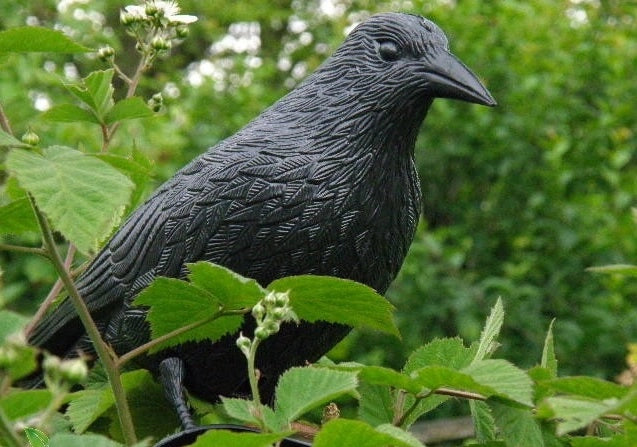 KADAX Dissuasore per uccelli Raven, piccioni e storni, grande, per balconi, per piccioni e uccelli, XXL