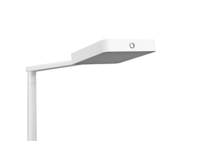 Piantana da Interno a LED in Metallo Bianco Opaco