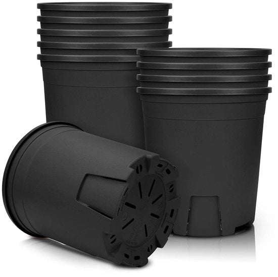 Piantina in plastica 16,2 cm - set da 5 - nero - decorativo