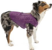 Giubbotto per cani Impermeabile giubbotto per cani da neve con riflessi e cinturino reversibile