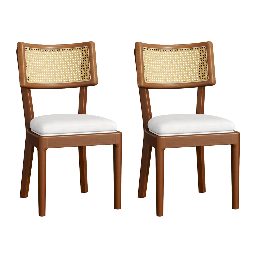Set di 2 sedie da pranzo in legno massiccio con schienale in rattan e cuscino in lino, colore noce