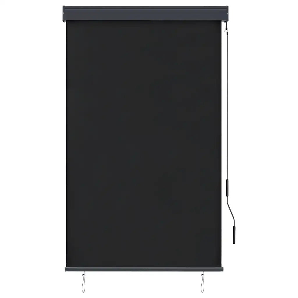 Tenda a Rullo per Esterni-Tenda da sole avvolgibile 100x250 cm Antracite