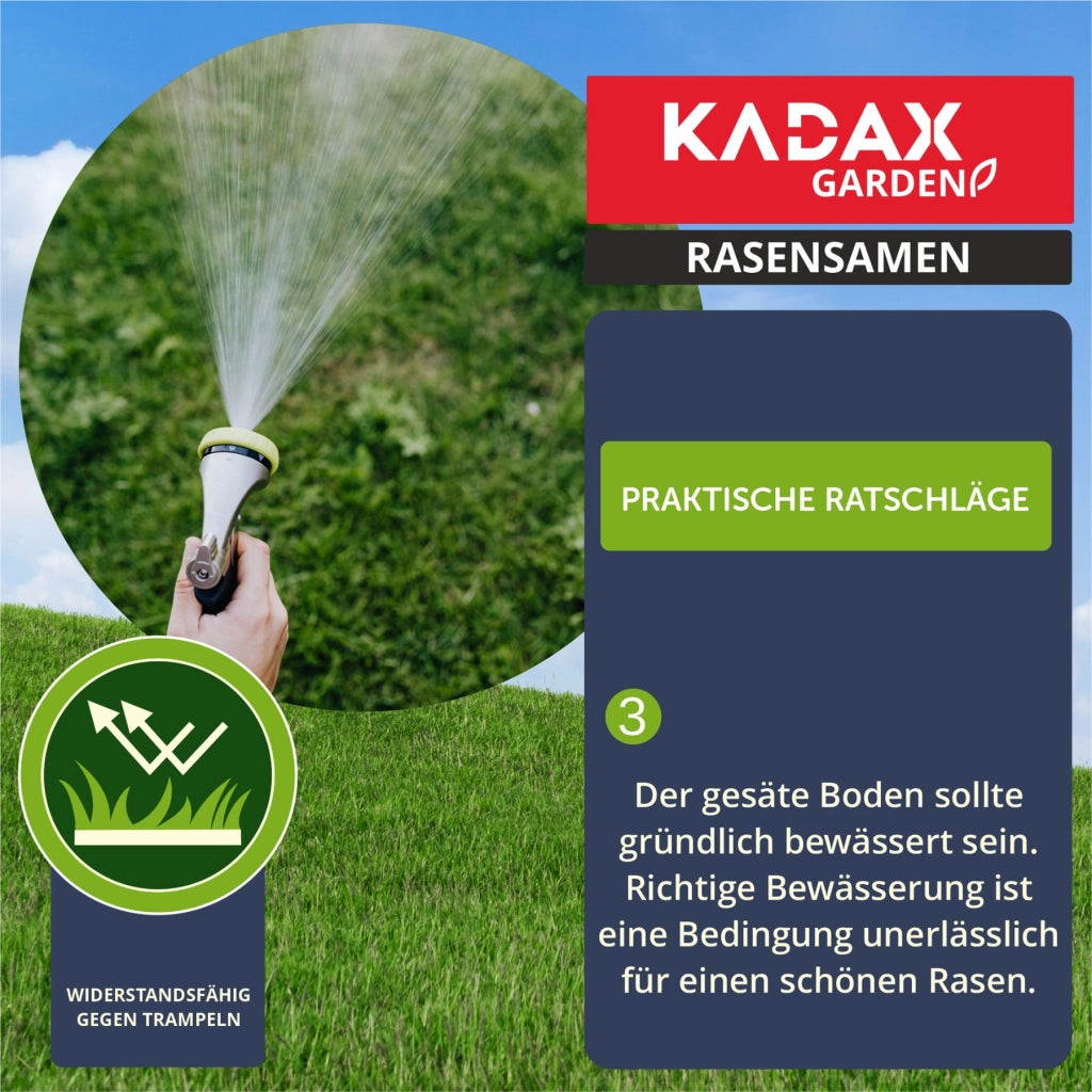 Semi di erba KADAX 15 kg, resistenti al calpestio, auto-infittinti, per prato ornamentale 600 m²