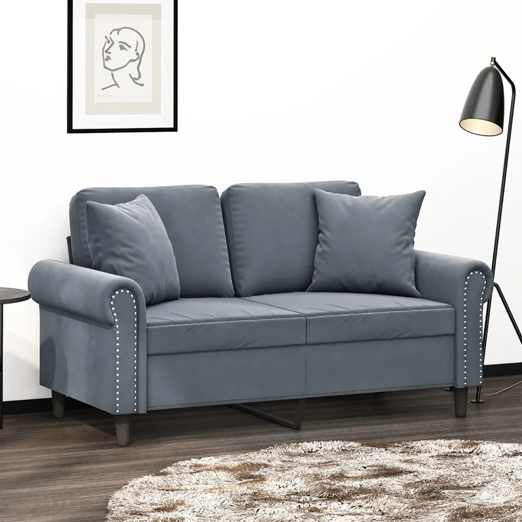Divano a 2 Posti con Cuscini-Sofa 2 Posti con Cuscini Grigio Scuro 120 cm in Velluto 589988