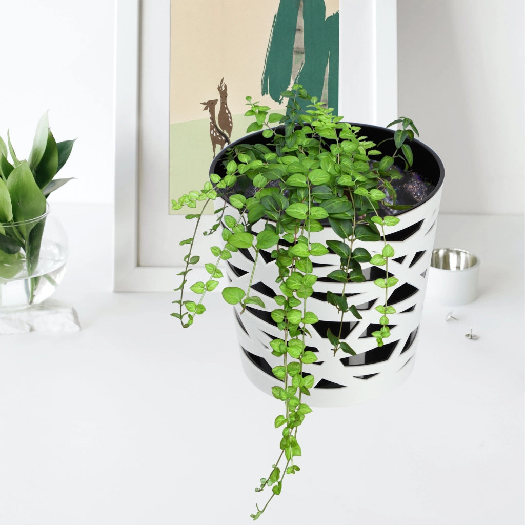 KADAX - Inserto in plastica per vaso di fiori e piante, 13 cm, nero