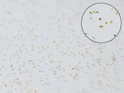 TOVAGLIATO PVC GLITTERATO ORO- - cm.140h, rotolo da mt.30 - 30 mt